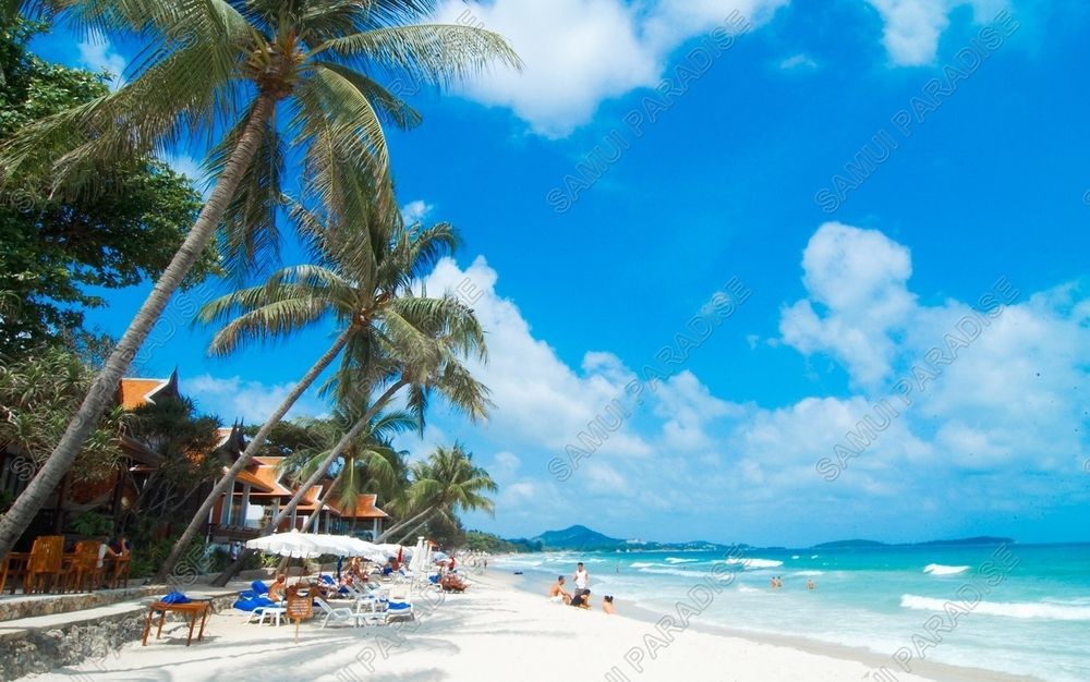 Samui Paradise Chaweng Beach Resort Zewnętrze zdjęcie