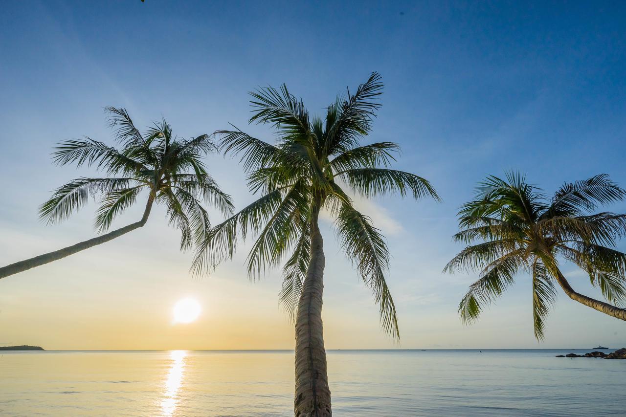 Samui Paradise Chaweng Beach Resort Zewnętrze zdjęcie
